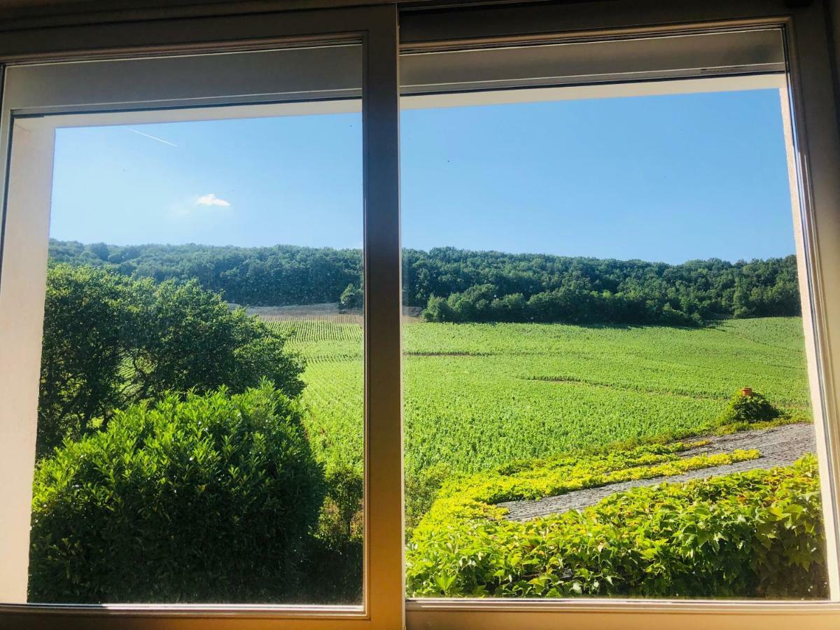 Villa De La Roseraie Rully  エクステリア 写真