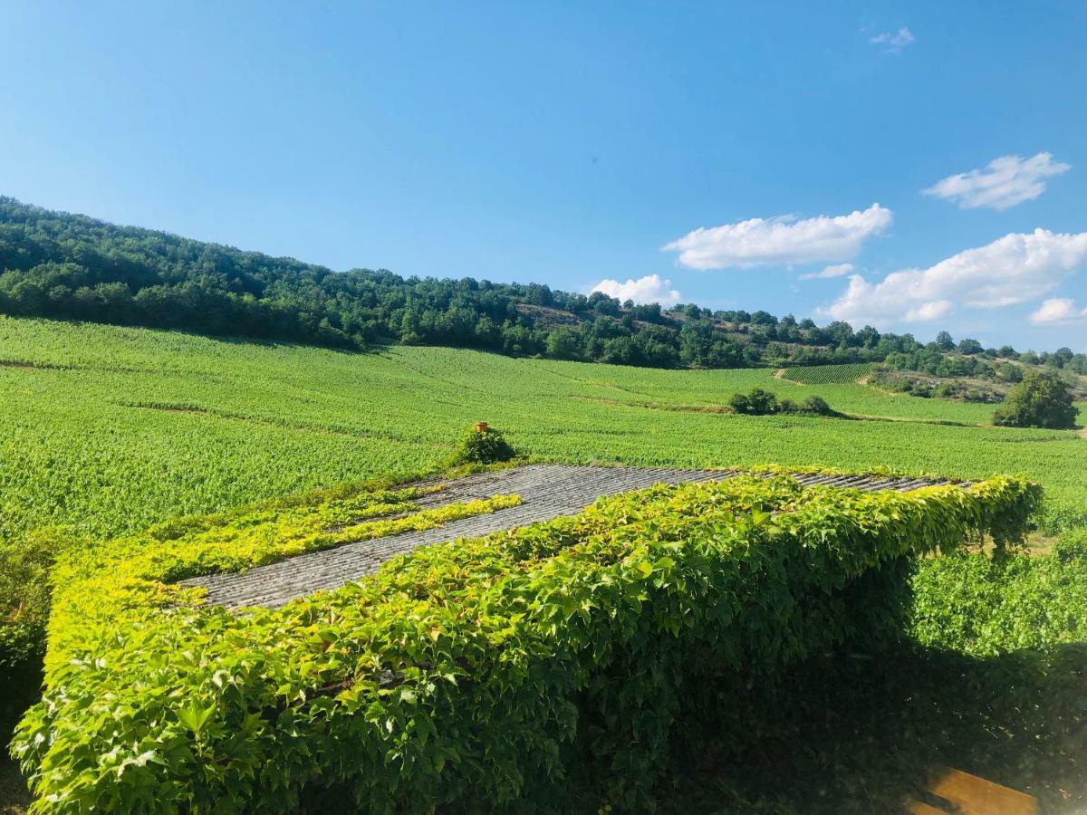Villa De La Roseraie Rully  エクステリア 写真