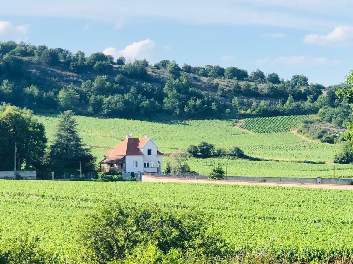 Villa De La Roseraie Rully  エクステリア 写真