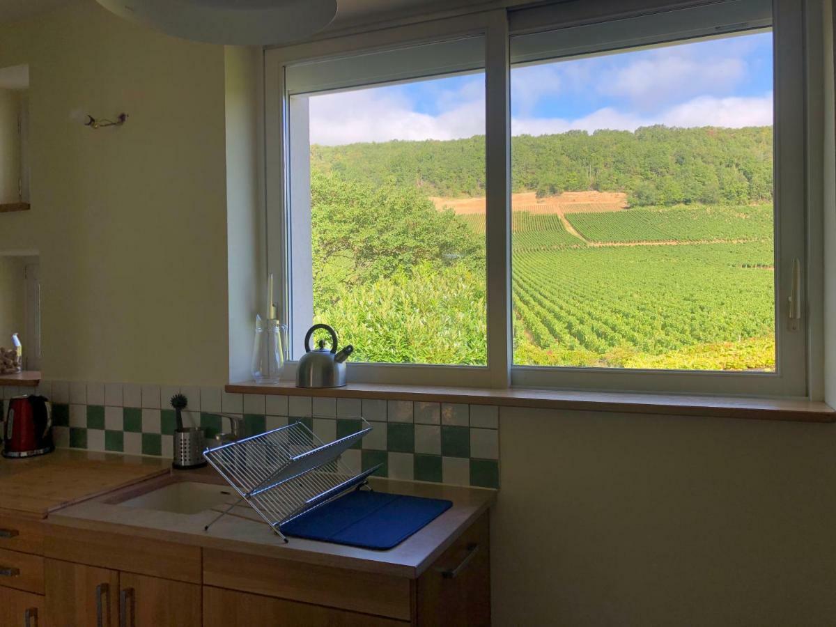 Villa De La Roseraie Rully  エクステリア 写真